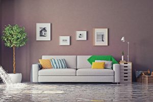 Szara rozkładana sofa – funkcjonalny i uniwersalny mebel do salonu
