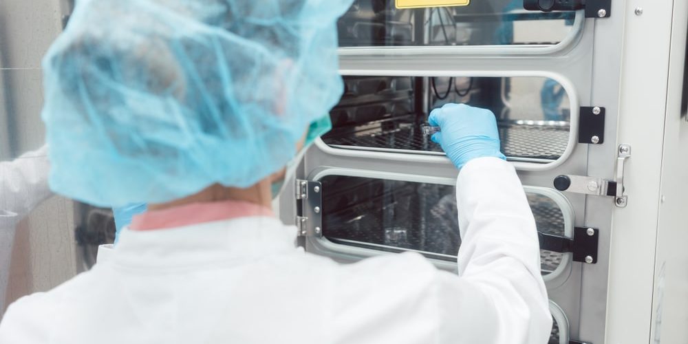 Inkubatory laboratoryjne – podstawowe rodzaje i zastosowanie w przemyśle medycznym i farmaceutycznym