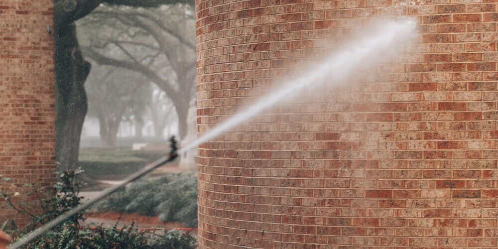 Jak spełnić wymagania integrowanej ochrony roślin?